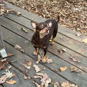 Meet your Posher, Ley